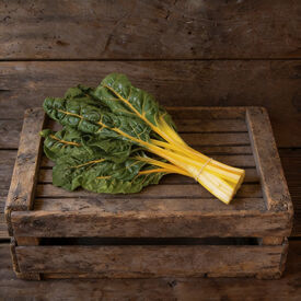 Orange Fantasia, Swiss Chard Seeds